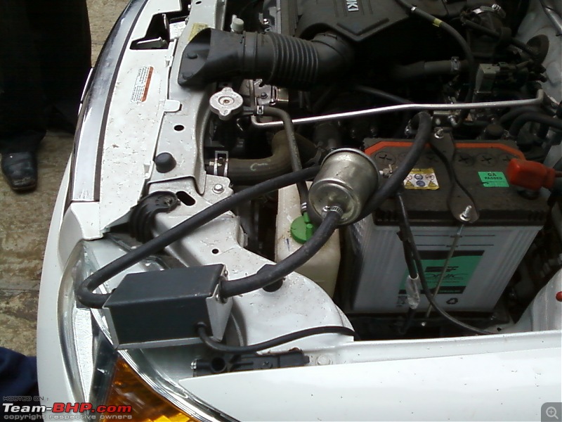 My Superior White Alto K10-photo0060.jpg