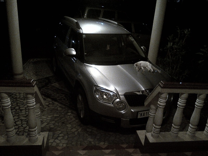 Falling in Love Again. The Story of a Czech Maiden - Skoda Yeti-img2012081400050.jpg