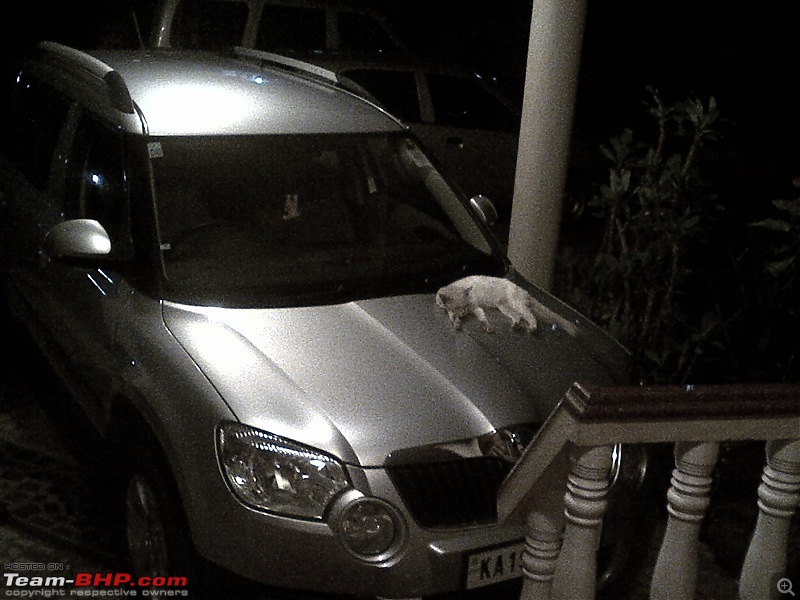 Falling in Love Again. The Story of a Czech Maiden - Skoda Yeti-img2012081400051.jpg