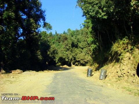 Trekking to Churdhar - A  short photologue-dsc02444.jpg