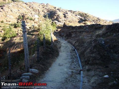 Trekking to Churdhar - A  short photologue-dsc02465.jpg