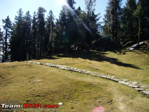 Trekking to Churdhar - A  short photologue-dsc02486.jpg