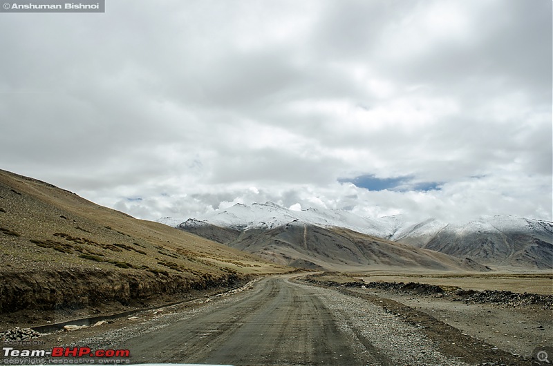 Ladakh in my Laura- Travelogue-dsc_8930.jpg