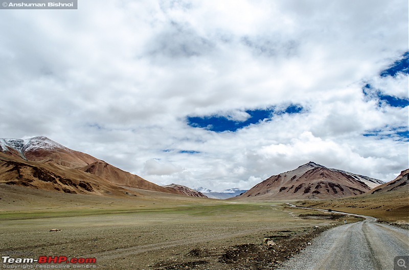 Ladakh in my Laura- Travelogue-dsc_8933.jpg