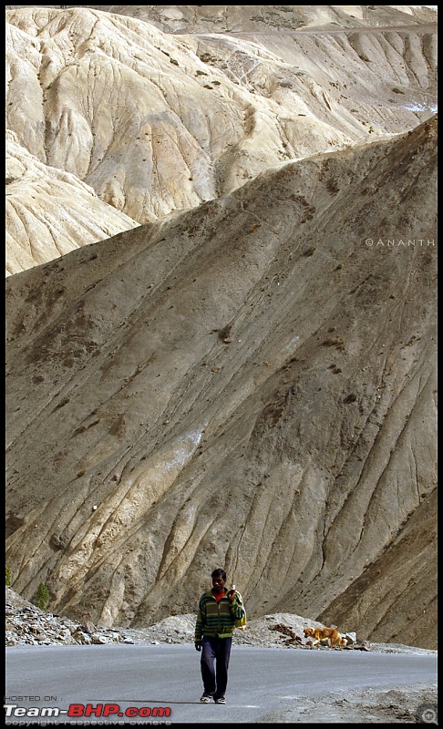 7 Days in Heaven : The Ladakh Escapade!!-img_2101.jpg