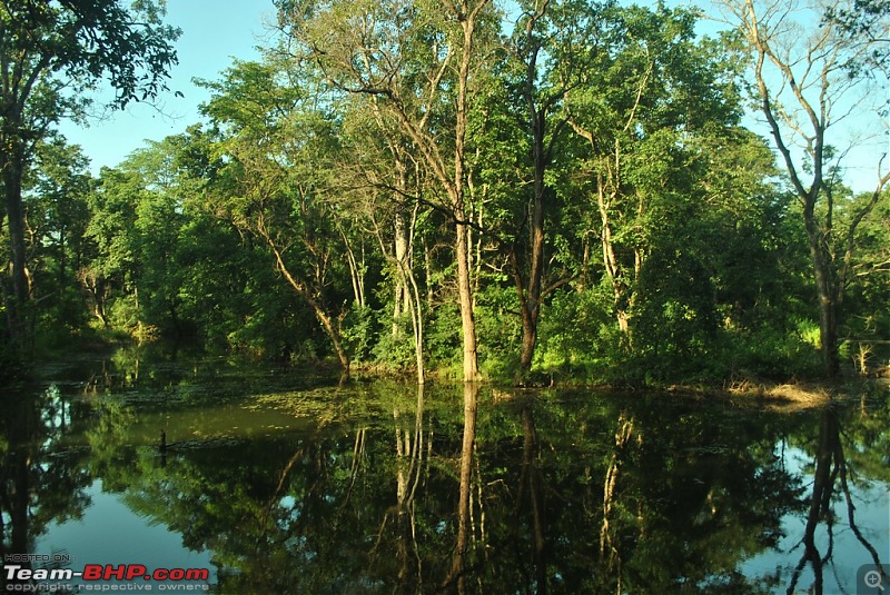 Rambling inside the forests of Jharkhand-dsc_0141.jpg