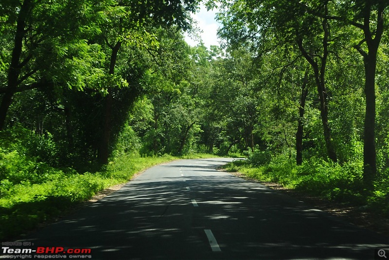 Rambling inside the forests of Jharkhand-dsc_0173.jpg