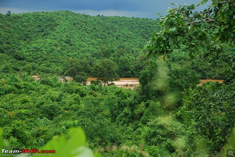 Rambling inside the forests of Jharkhand-dsc_0878.jpg