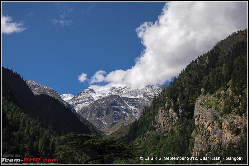 Chota Char Dham - A Road Trip to Uttarakhand-dsc_2547.jpg