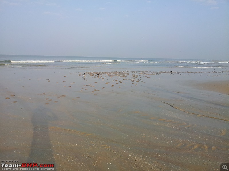 Return to Sun Surf Sand but no Sorpotel - Goa!-benaulim2.jpg