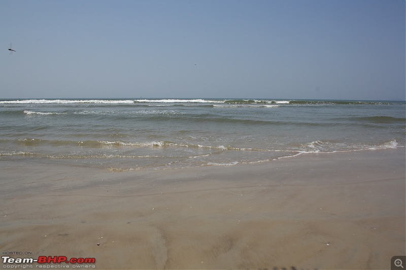 Return to Sun Surf Sand but no Sorpotel - Goa!-majorda.jpg