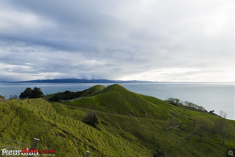 There and back again - A trip to New Zealand-_1010806.jpg