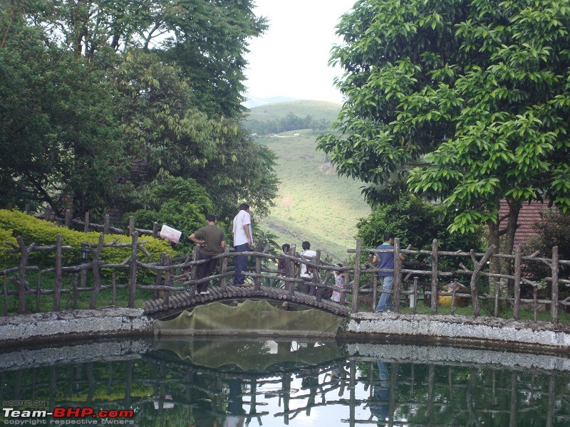 A one day dash to Vagamon, Kuttikkanam and Parunthumpara-62.jpg