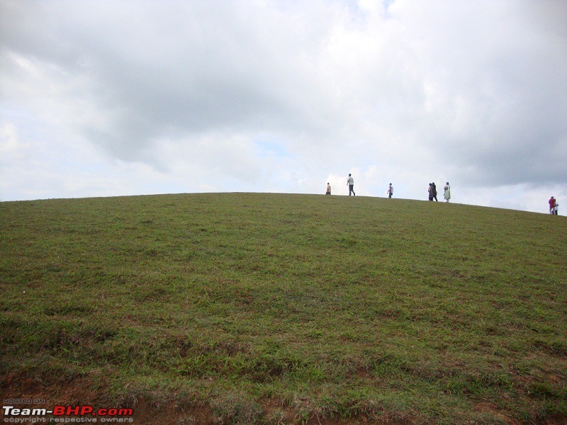 A one day dash to Vagamon, Kuttikkanam and Parunthumpara-67.jpg