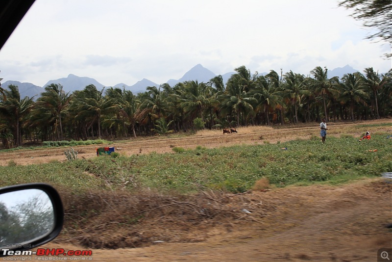 Getting drenched in Munnar (Bangalore to Munnar and Kannur)-dpp_3.jpg