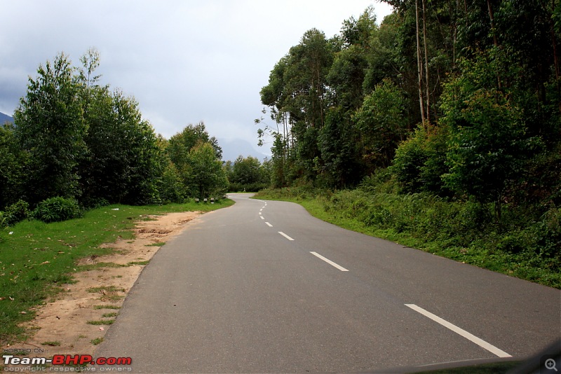 Getting drenched in Munnar (Bangalore to Munnar and Kannur)-dpp_0012.jpg