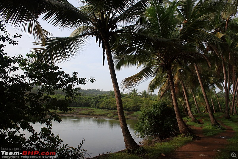 Getting drenched in Munnar (Bangalore to Munnar and Kannur)-img_1374_ed.jpg