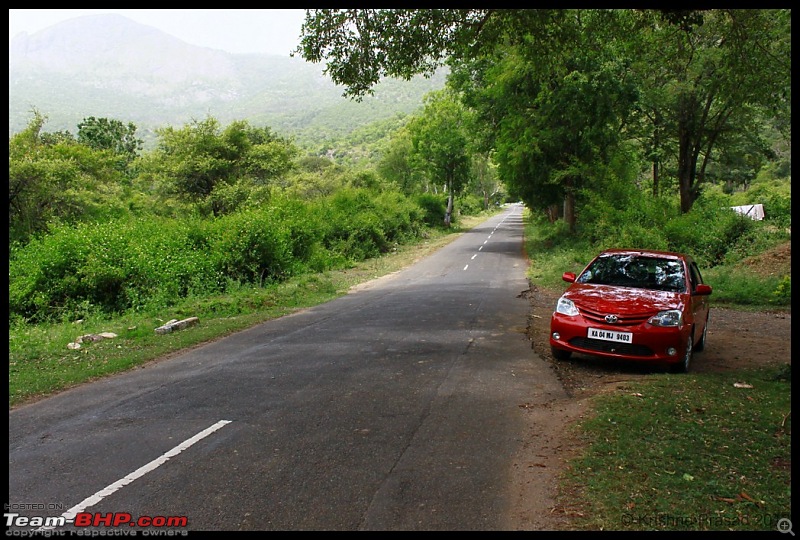 Bandipur Visit - June 2012 Edition-img_7623.jpg