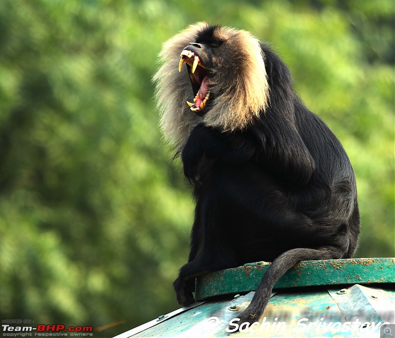 Children's day: Trip to the Delhi Zoo-img_3160.jpg