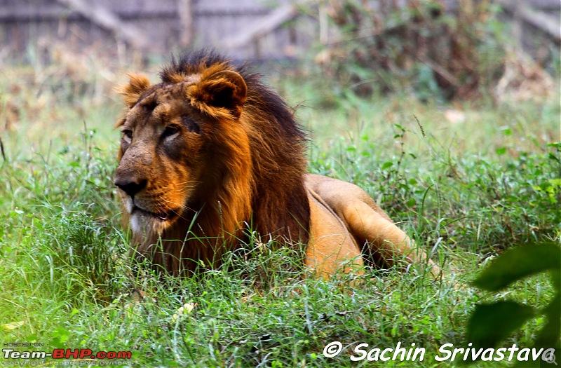 Children's day: Trip to the Delhi Zoo-img_3315.jpg