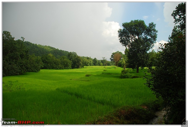 Rambling inside the forests of Jharkhand-51.jpg