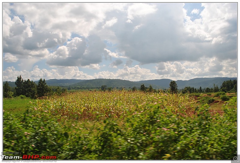 Rambling inside the forests of Jharkhand-61.jpg