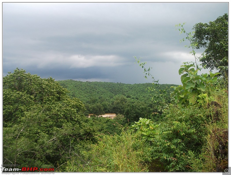 Rambling inside the forests of Jharkhand-81.jpg