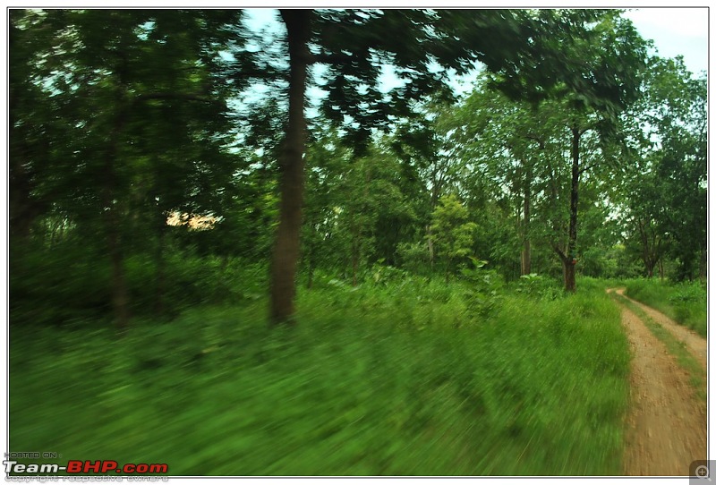 Rambling inside the forests of Jharkhand-85.jpg