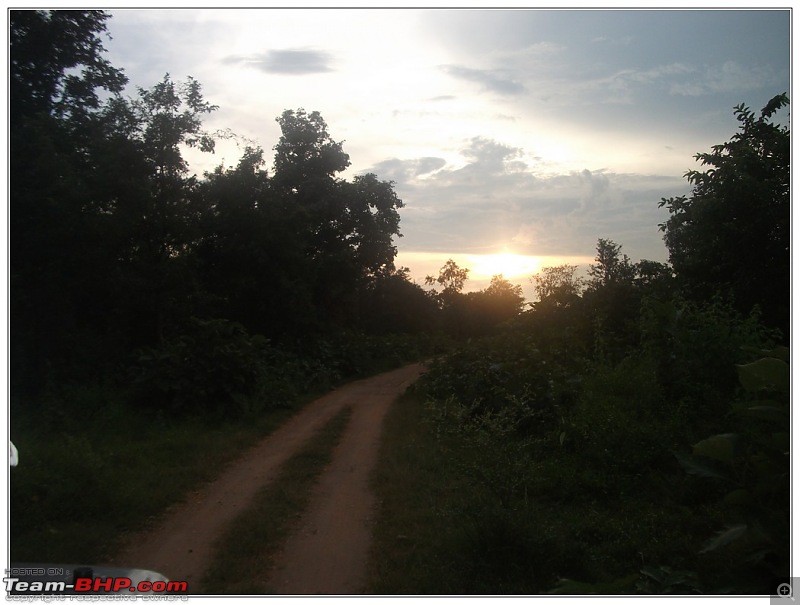 Rambling inside the forests of Jharkhand-90.jpg