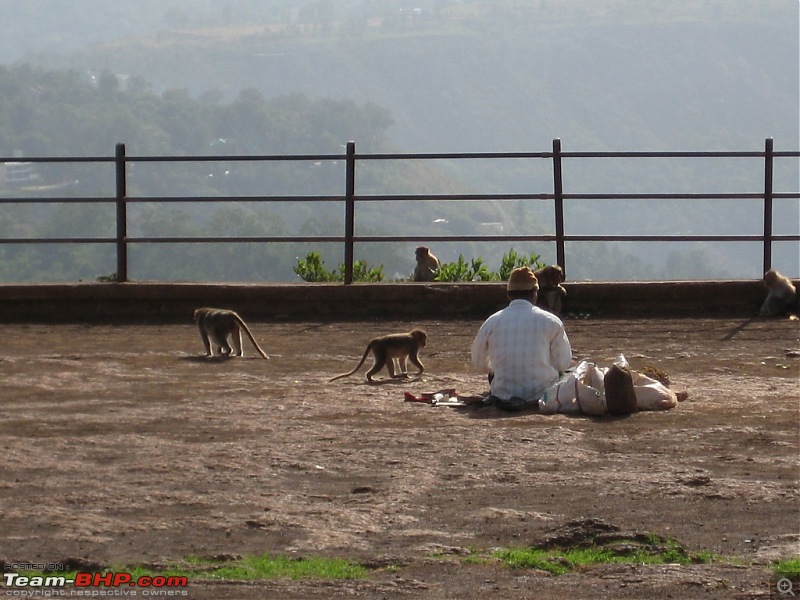 Hyderabad - Mahabaleshwar Post monsoon relaxation!-p-292.jpg