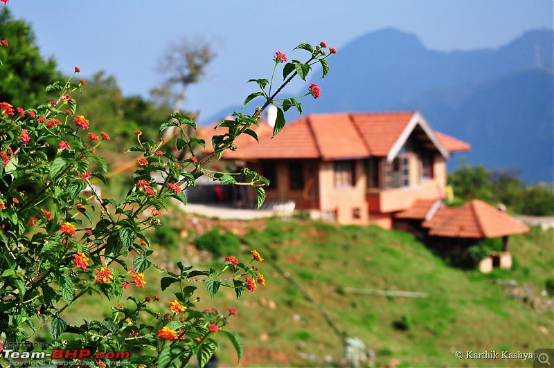 The Jet learns to make cheese: A farmstay experience in the Nilgiris-dsc_0057.jpg
