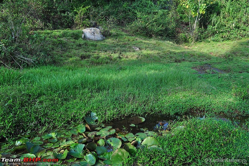 The Jet learns to make cheese: A farmstay experience in the Nilgiris-dsc_0121.jpg