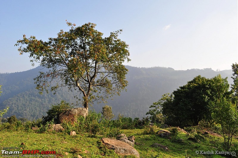 The Jet learns to make cheese: A farmstay experience in the Nilgiris-dsc_0130.jpg