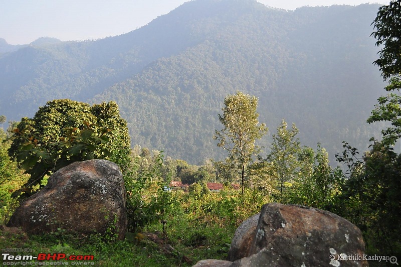 The Jet learns to make cheese: A farmstay experience in the Nilgiris-dsc_0131.jpg