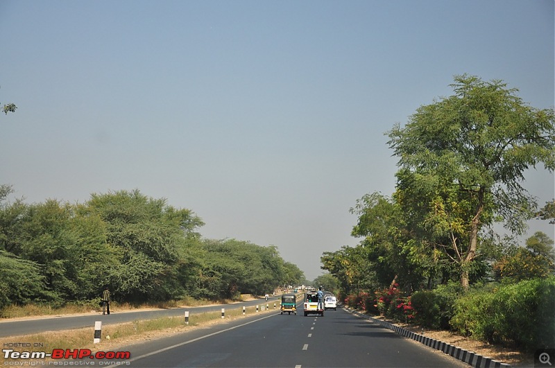 The Mumbai cheetah goes to greet the Sasan Gir Lion (A Gujarat travelogue)-dsc_0244.jpg