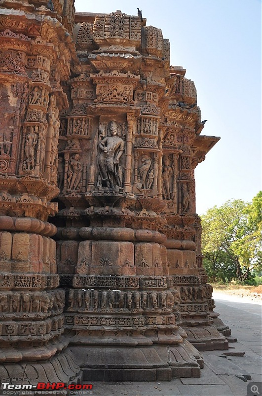 The Mumbai cheetah goes to greet the Sasan Gir Lion (A Gujarat travelogue)-dsc_0339.jpg