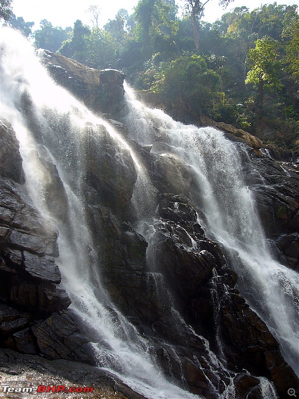 'Xing'ing around ! - Chembra Peak, Meenmutty waterfalls, Himavad Gopalaswamy betta.-23.jpg