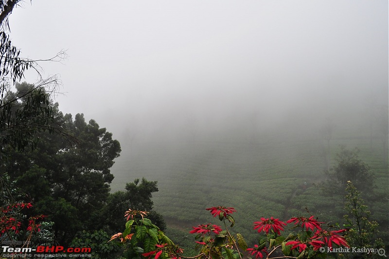 The Jet learns to make cheese: A farmstay experience in the Nilgiris-dsc_0330.jpg