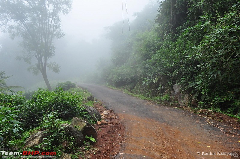 The Jet learns to make cheese: A farmstay experience in the Nilgiris-dsc_0349.jpg