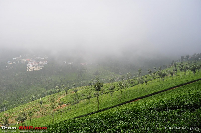 The Jet learns to make cheese: A farmstay experience in the Nilgiris-dsc_0363.jpg