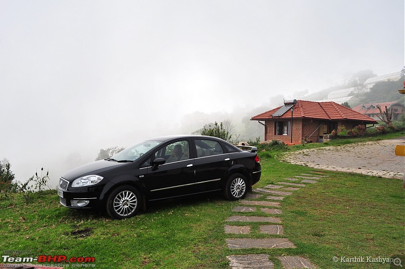 The Jet learns to make cheese: A farmstay experience in the Nilgiris-dsc_0414.jpg