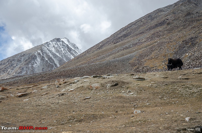 18 Passes, 15 lakes and 2 breakdowns : Ladakh and Lahaul call again-dsc_dsc_6269_lrxl.jpg