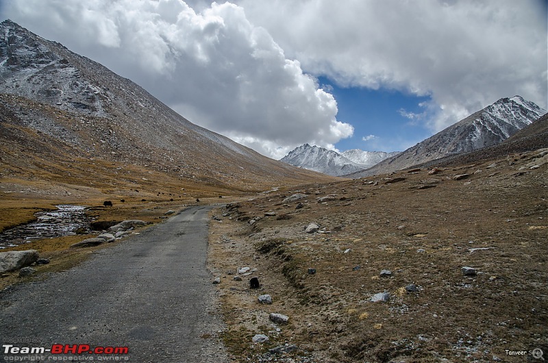 18 Passes, 15 lakes and 2 breakdowns : Ladakh and Lahaul call again-dsc_dsc_6270_lrxl.jpg