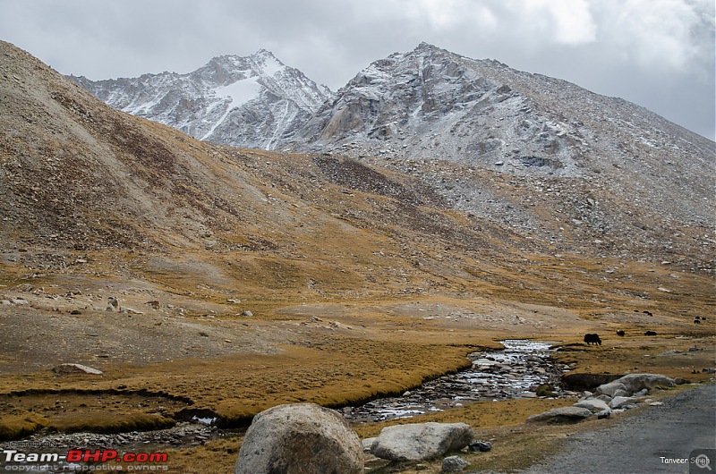 18 Passes, 15 lakes and 2 breakdowns : Ladakh and Lahaul call again-dsc_dsc_6271_lrxl.jpg