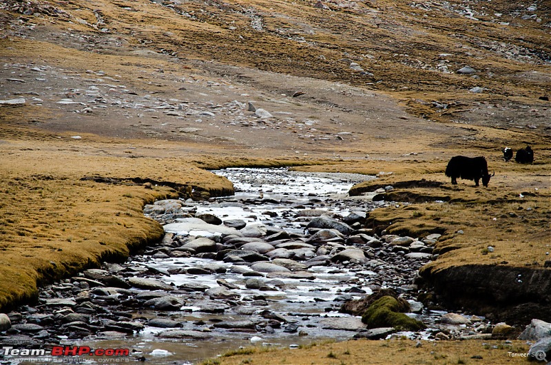 18 Passes, 15 lakes and 2 breakdowns : Ladakh and Lahaul call again-dsc_dsc_6273_lrxl.jpg