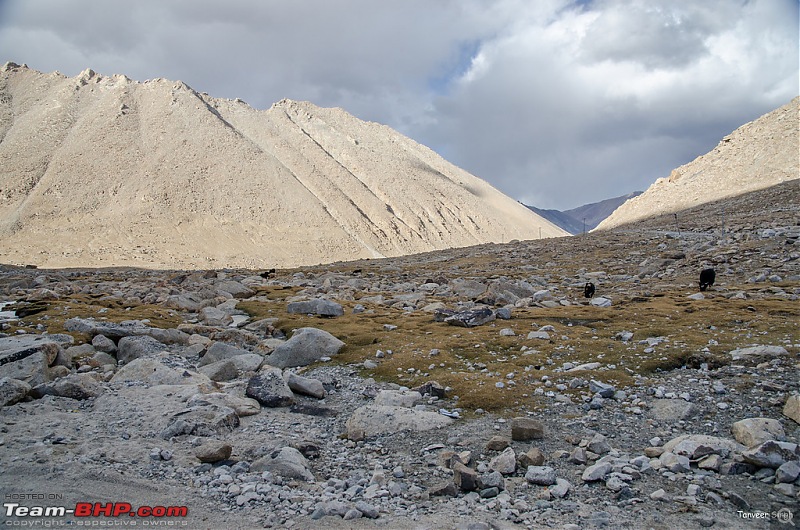18 Passes, 15 lakes and 2 breakdowns : Ladakh and Lahaul call again-dsc_dsc_6301_lrxl.jpg