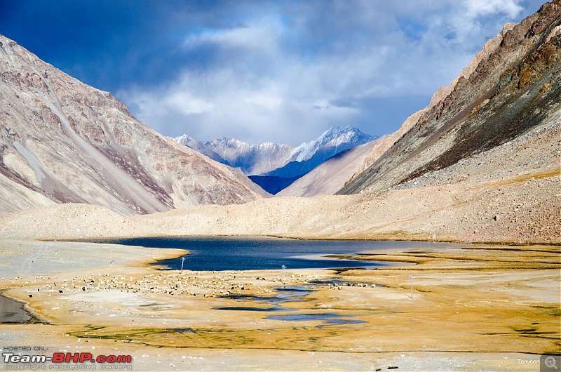 18 Passes, 15 lakes and 2 breakdowns : Ladakh and Lahaul call again-dsc_dsc_6307_lrxl.jpg