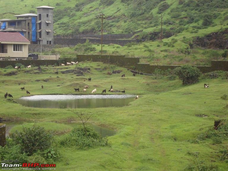 3 Day Trip to Lonavala & Lavasa-dsc03190.jpg