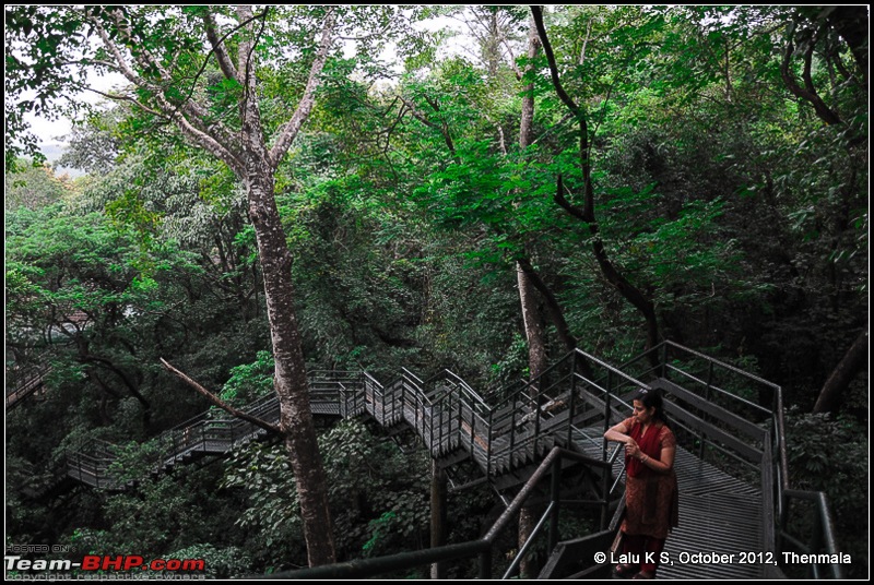 Civved : Thiruvananthapuram, Kollam - A Journey Back to Our Roots-dsc_4311.jpg