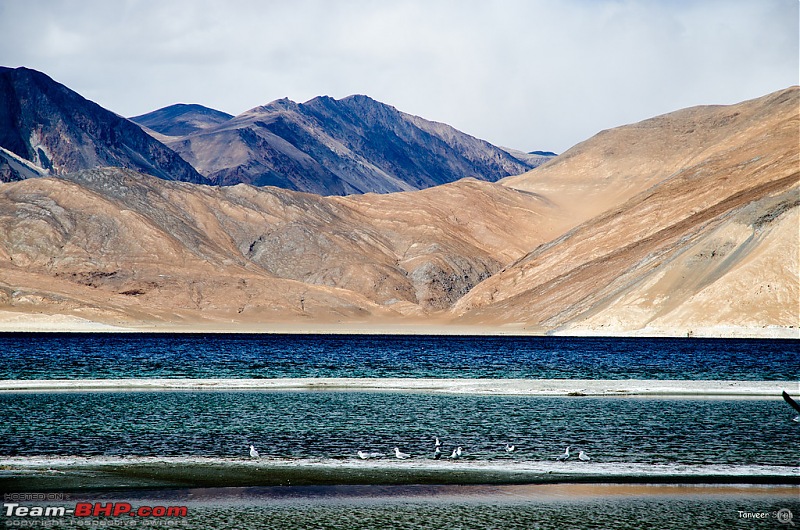 18 Passes, 15 lakes and 2 breakdowns : Ladakh and Lahaul call again-dsc_dsc_6340_lrxl.jpg